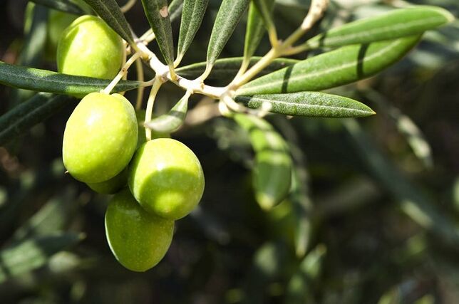avantages de manger des olives avec un régime cétogène